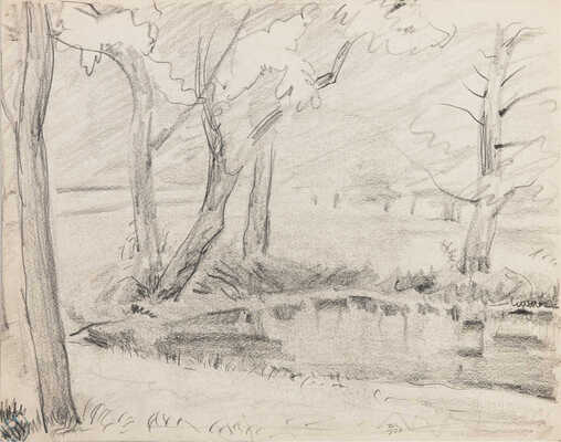 Митрохин Дмитрий Исидорович. Ленинград. На островах